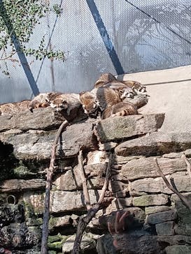 長崎バイオパークに投稿された画像（2023/10/29）