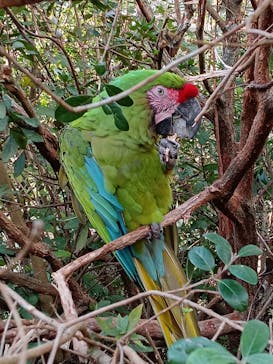 長崎バイオパークに投稿された画像（2023/10/29）