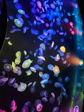 すみだ水族館に投稿された画像（2023/10/29）