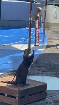 大分マリーンパレス水族館 「うみたまご」に投稿された画像（2023/10/29）