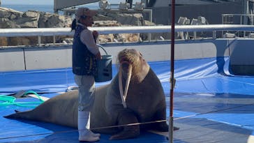 大分マリーンパレス水族館 「うみたまご」に投稿された画像（2023/10/29）