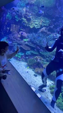 大分マリーンパレス水族館 「うみたまご」に投稿された画像（2023/10/29）