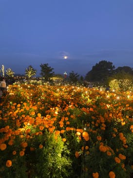 いばらきフラワーパークに投稿された画像（2023/10/29）