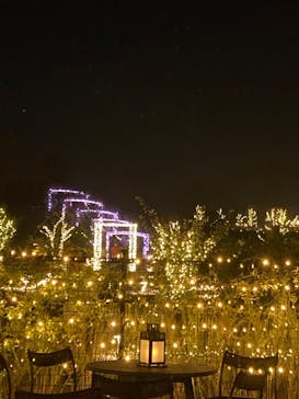 いばらきフラワーパークに投稿された画像（2023/10/29）