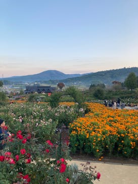 いばらきフラワーパークに投稿された画像（2023/10/29）