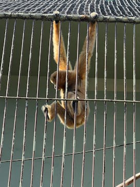 別府ケーブルラクテンチに投稿された画像（2023/10/29）