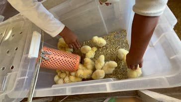 別府ケーブルラクテンチに投稿された画像（2023/10/29）