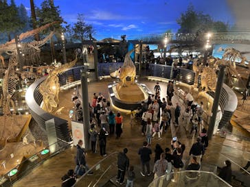 福井県立恐竜博物館に投稿された画像（2023/10/29）
