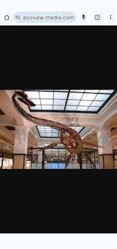 国立科学博物館に投稿された画像（2023/10/29）