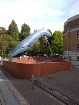 国立科学博物館に投稿された画像（2023/10/29）