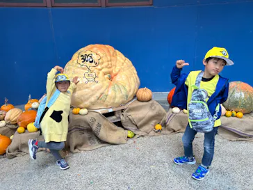 ひらかたパークに投稿された画像（2023/10/29）