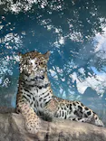 天王寺動物園に投稿された画像（2023/10/29）
