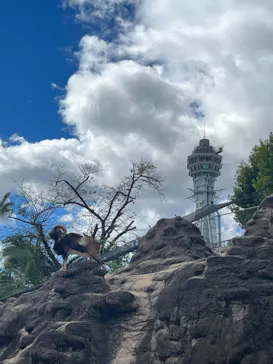 天王寺動物園に投稿された画像（2023/10/29）