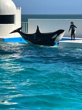 鴨川シーワールドに投稿された画像（2023/10/29）