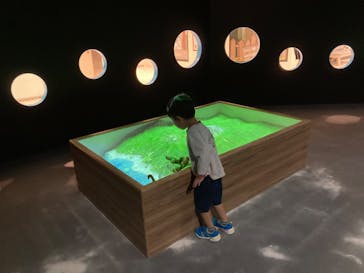 リトルプラネット KITE MITE MATSUDOに投稿された画像（2023/10/29）