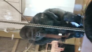 名古屋市東山動植物園に投稿された画像（2023/10/29）