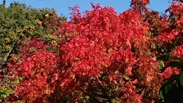 名古屋市東山動植物園に投稿された画像（2023/10/29）