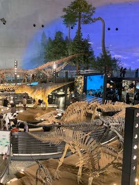 福井県立恐竜博物館に投稿された画像（2023/10/29）