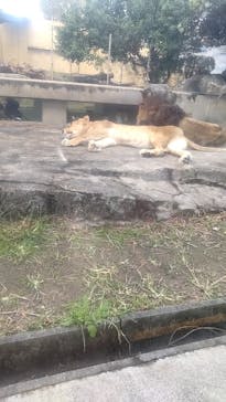 東武動物公園に投稿された画像（2023/10/29）