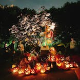 横浜イングリッシュガーデンに投稿された画像（2023/10/29）