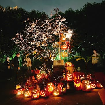 横浜イングリッシュガーデンに投稿された画像（2023/10/29）