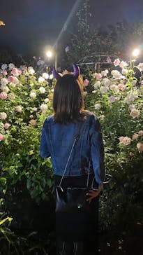 横浜イングリッシュガーデンに投稿された画像（2023/10/29）