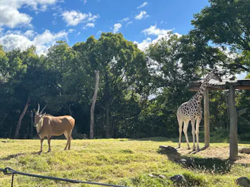天王寺動物園に投稿された画像（2023/10/29）