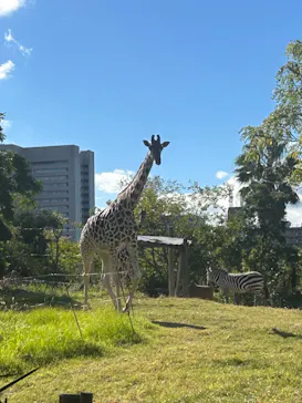 天王寺動物園に投稿された画像（2023/10/29）