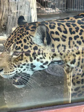 天王寺動物園に投稿された画像（2023/10/29）
