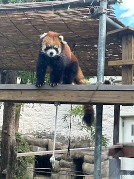 天王寺動物園に投稿された画像（2023/10/29）