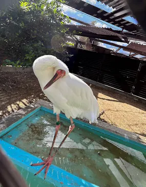 天王寺動物園に投稿された画像（2023/10/29）