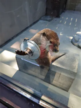 横浜・八景島シーパラダイスに投稿された画像（2023/10/29）