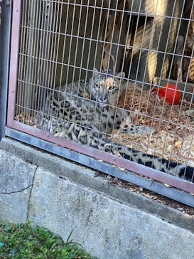 名古屋市東山動植物園に投稿された画像（2023/10/29）
