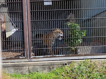 名古屋市東山動植物園に投稿された画像（2023/10/29）