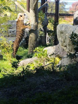 名古屋市東山動植物園に投稿された画像（2023/10/29）