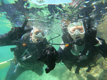 武藤潜水に投稿された画像（2023/10/29）