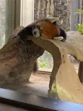 よこはま動物園ズーラシアに投稿された画像（2023/10/29）