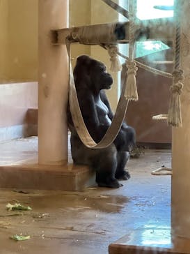 名古屋市東山動植物園に投稿された画像（2023/10/29）