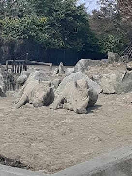 群馬サファリパークに投稿された画像（2023/10/29）