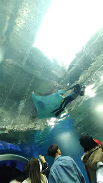 マクセル アクアパーク品川に投稿された画像（2023/10/29）