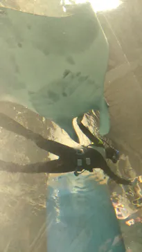 マクセル アクアパーク品川に投稿された画像（2023/10/29）