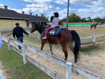 淡路ファームパーク イングランドの丘に投稿された画像（2023/10/29）