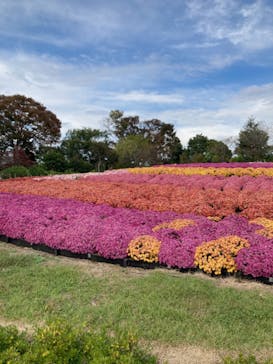 東武動物公園に投稿された画像（2023/10/29）