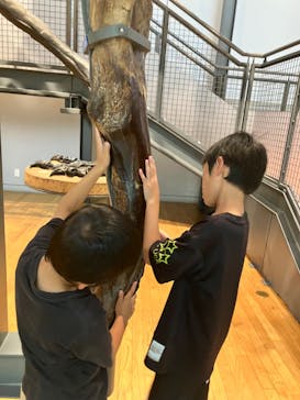 福井県立恐竜博物館に投稿された画像（2023/10/29）