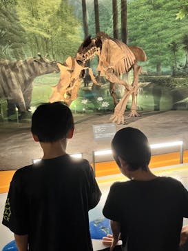 福井県立恐竜博物館に投稿された画像（2023/10/29）