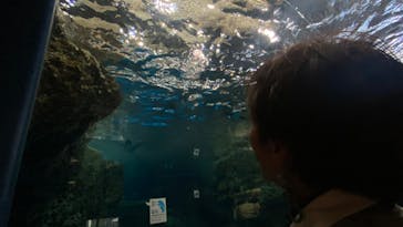 京都水族館に投稿された画像（2023/10/29）