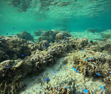 武藤潜水に投稿された画像（2023/10/29）