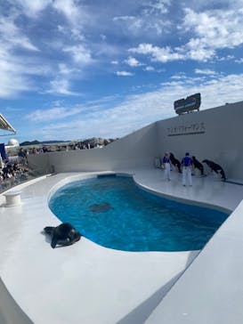 鴨川シーワールドに投稿された画像（2023/10/29）