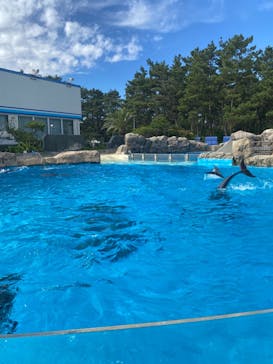 鴨川シーワールドに投稿された画像（2023/10/29）