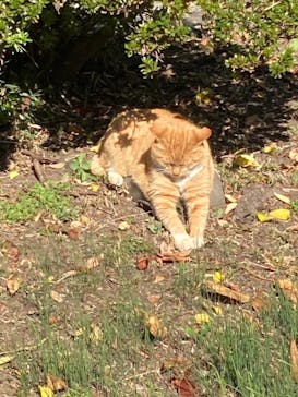 三溪園に投稿された画像（2023/10/29）